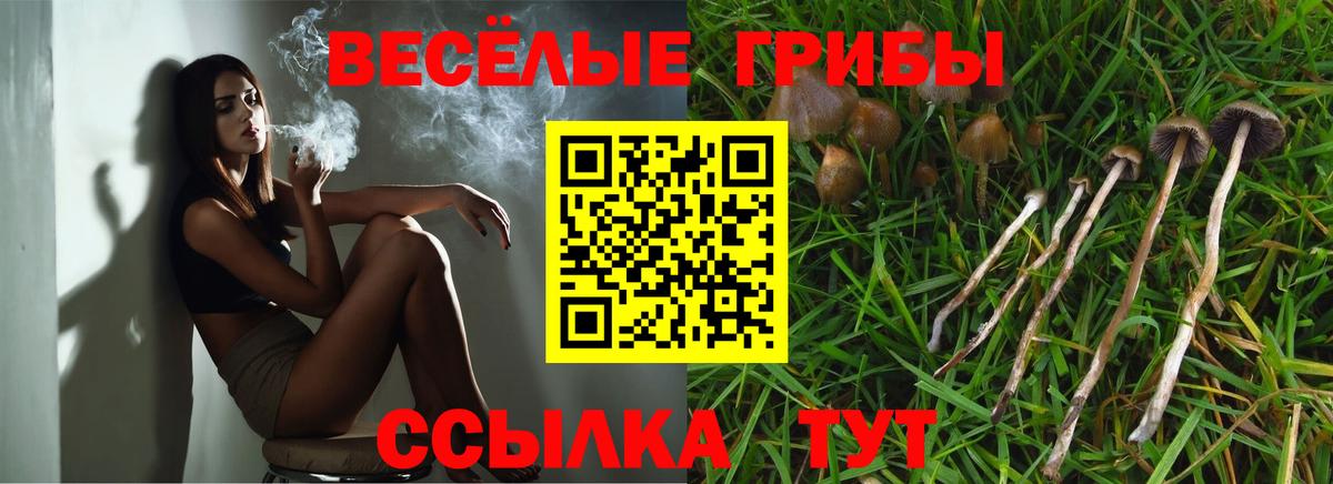 Псилоцибиновые грибы Psilocybe  Галлюциногенные грибы ЛСД  Стрежевой  Вход с VPN 