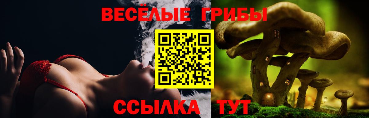 Галлюциногенные грибы GOLDEN TEACHER Стрежевой