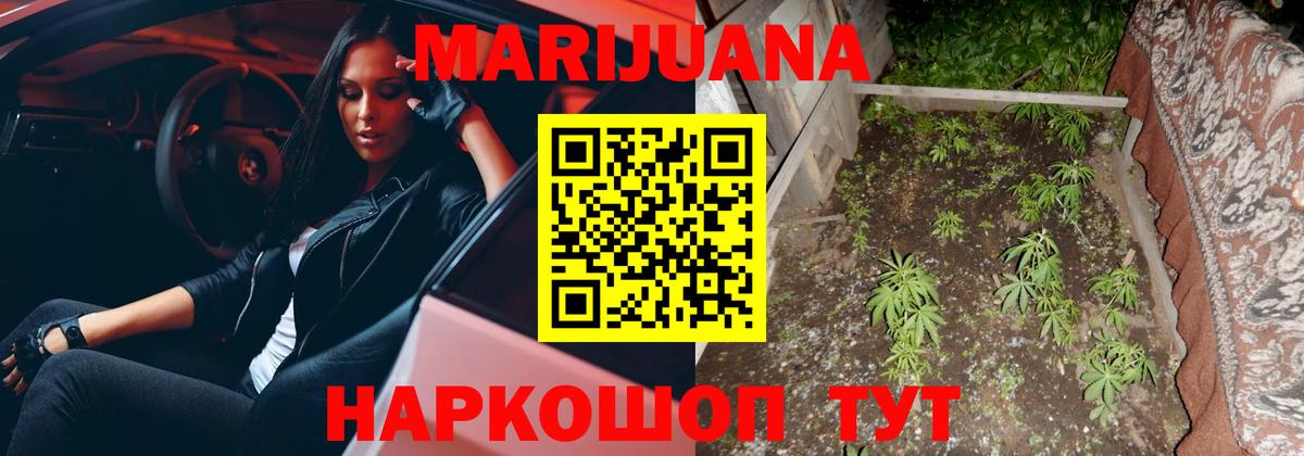 Шишки марихуана ГИДРОПОН  Каннабис план  Стрежевой  Канабис планчик  Вход с VPN  Конопля семена 